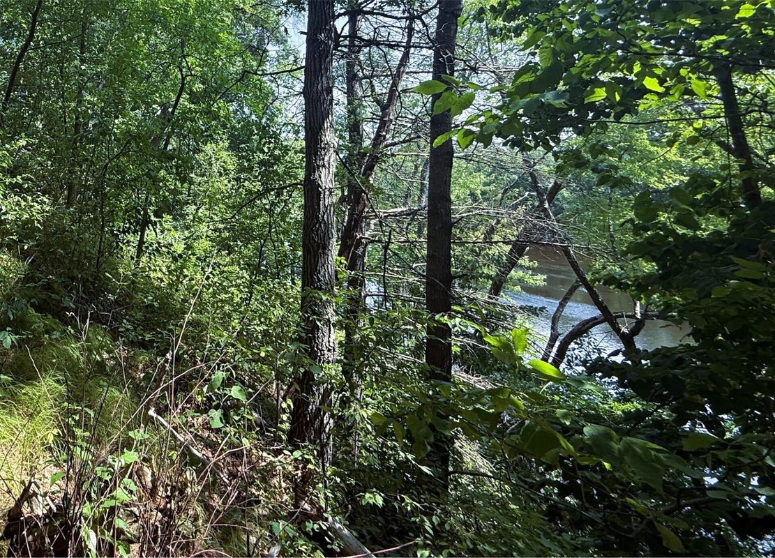 N3720 State Highway 40, Bruce WI 54819 - Land house for sale - MLS #1603658 - image9