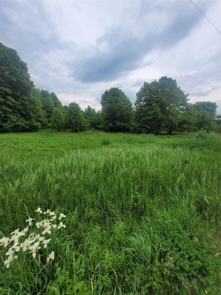 0000 County Hwy B Lot 4 