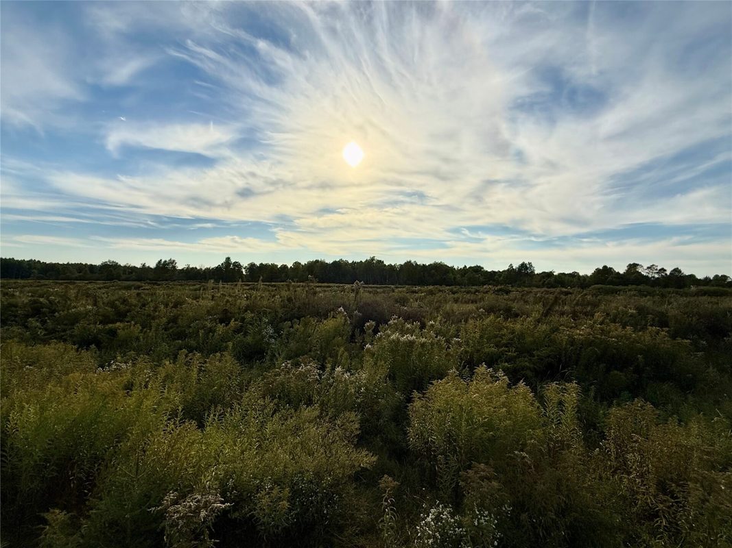 XX County Rd N, Kennan WI 54537 - Land house for sale - MLS #1605049 - image25