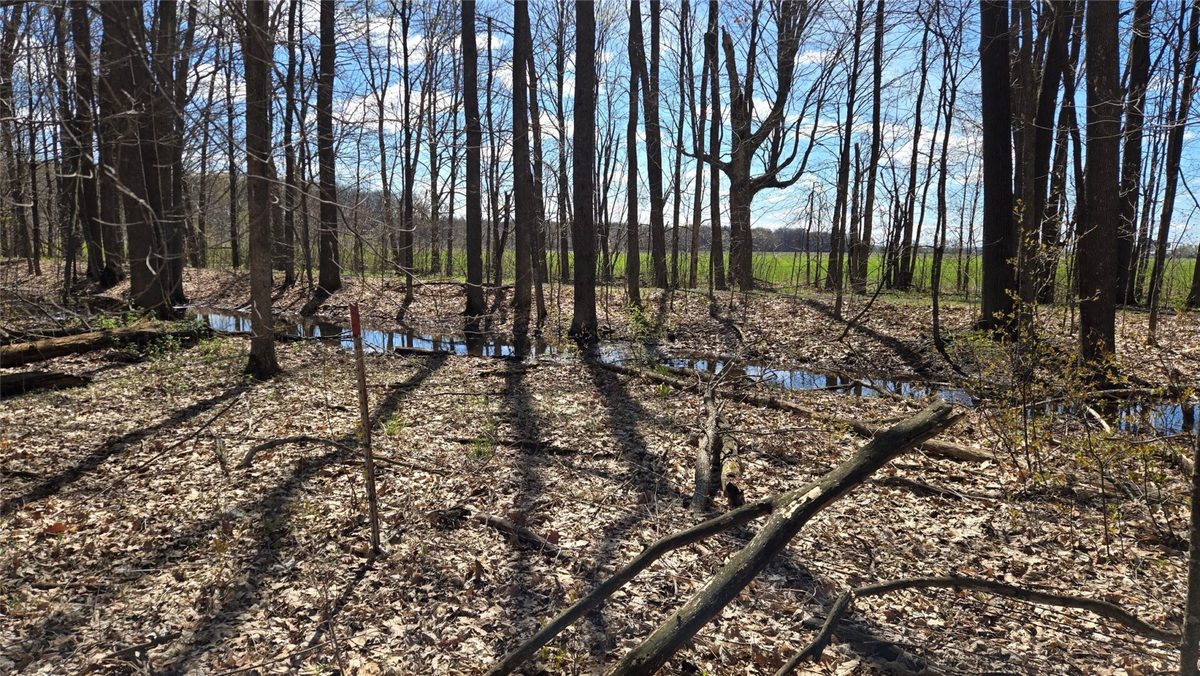 012345 26th Avenue, Rice Lake WI 54868 - Land house for sale - MLS #1602600 - image9