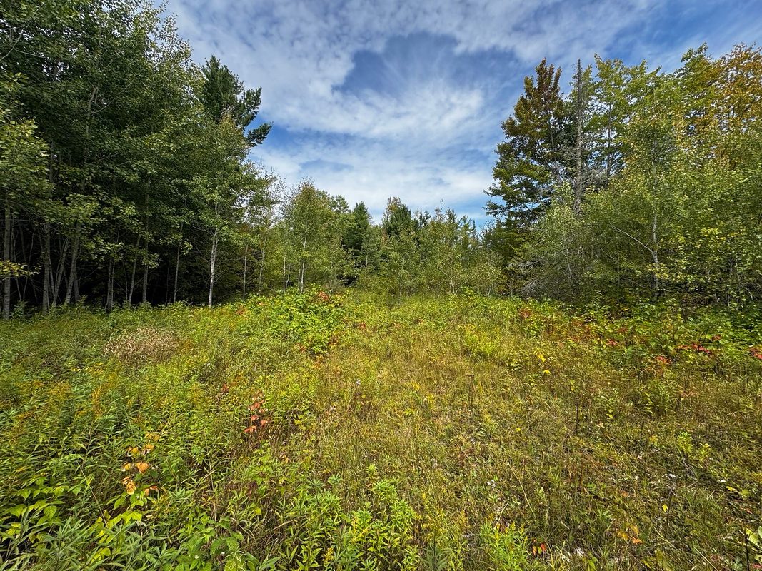 000 Winter Road, Elcho WI 54424 - Land house for sale - MLS #1605846 - image36