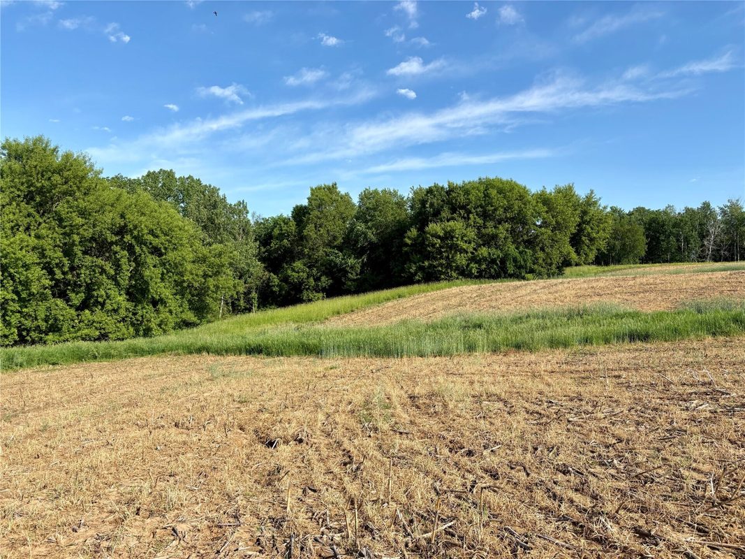 15.01 Acres 160th Avenue, Maiden Rock WI 54750 - Land house for sale - MLS #1604580 - image39