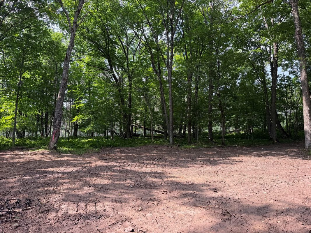 Lot 9 Hermosa Lane, Hayward WI 54843 - Land house for sale - MLS #1600925 - image4