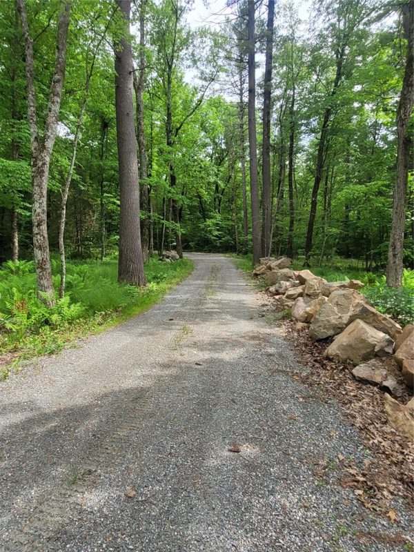 N900 Resewood Avenue, Neillsville WI 54456 - Land house for sale - MLS #1597245 - image41