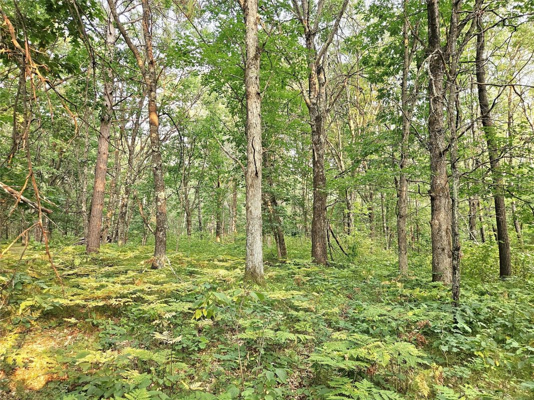 N8356 Lincoln Lake Road, Trego WI 54888 - Land house for sale - MLS #1604319 - image15