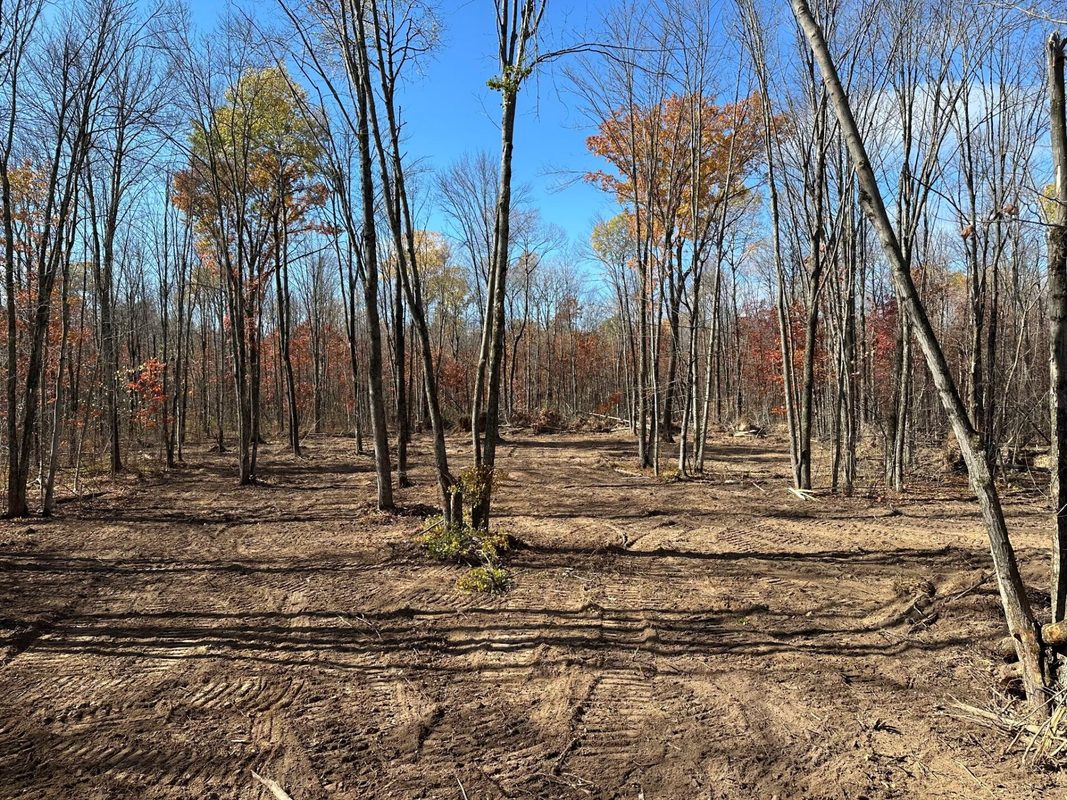 30 Acres County Highway X, Glen Flora WI 54526 - Land house for sale - MLS #1605967 - image4