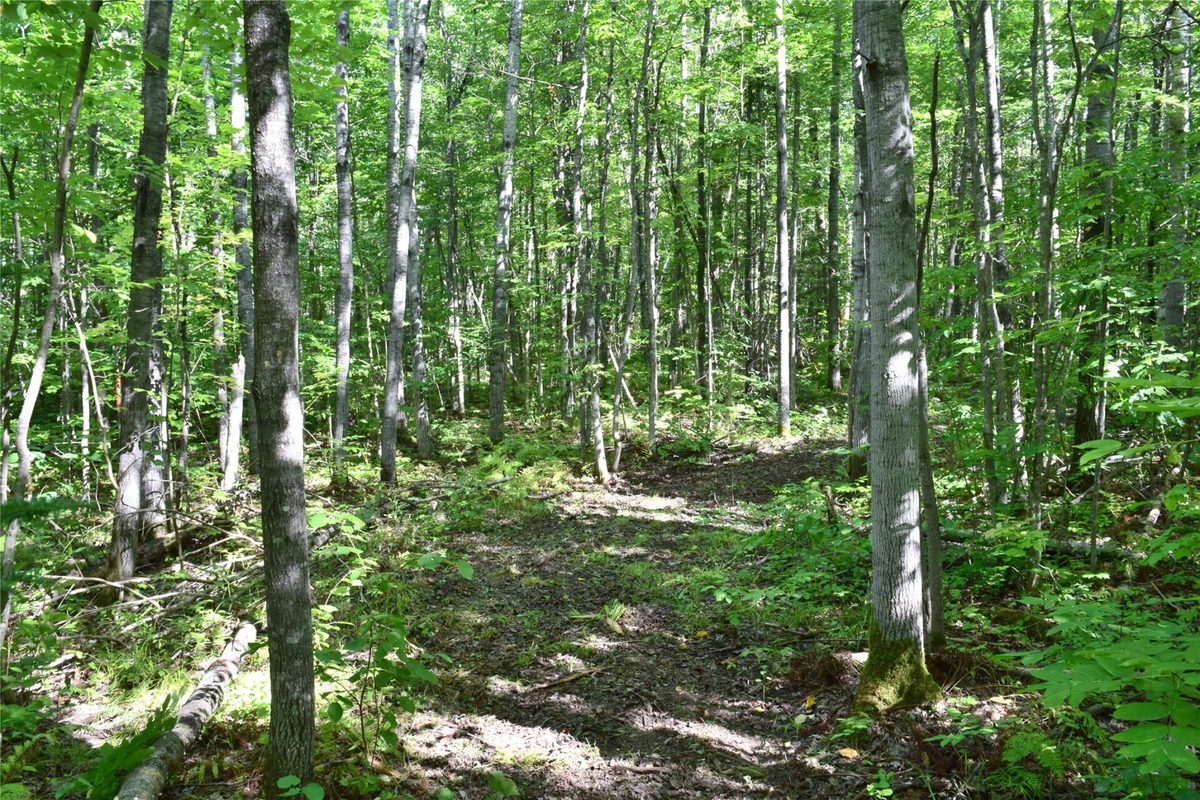 26615 Star Route Road, Bayfield WI 54814 - Land house for sale - MLS #1604800 - image29