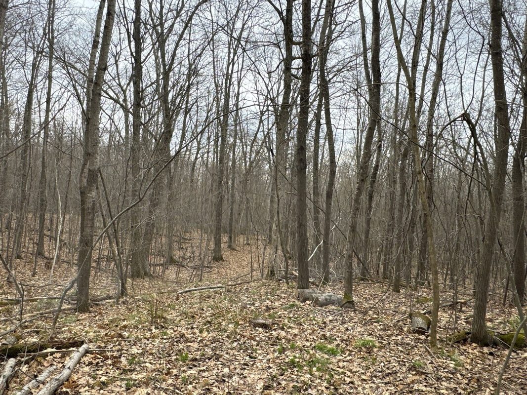 TBD Barrett Trail, Trego WI 54888 - Land house for sale - MLS #1600463 - image13