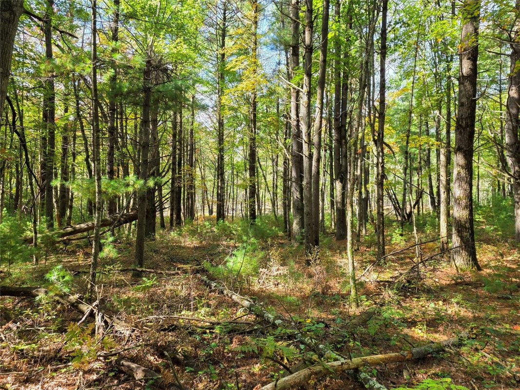 S10130 County Road H, Fairchild WI 54741 - Residential house for sale - MLS #1605513 - image38