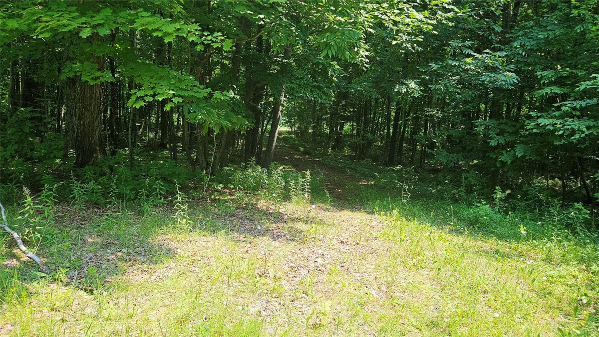 4687 Valesh Road, Couderay WI 54828 - Land house for sale - MLS #1602810 - image12