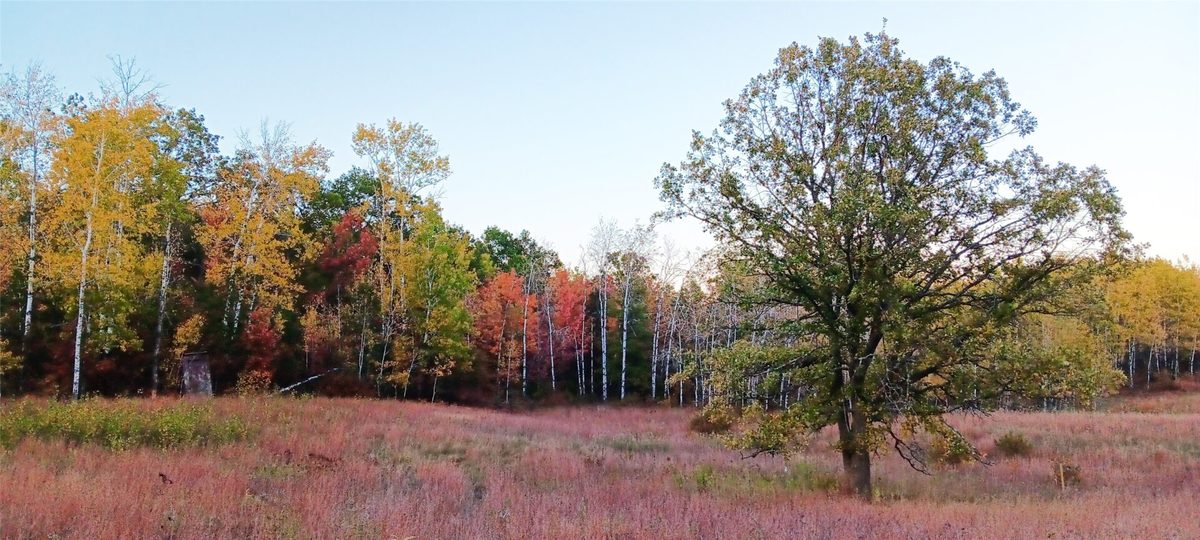 11116 Blackberry Road N, Trego, WI