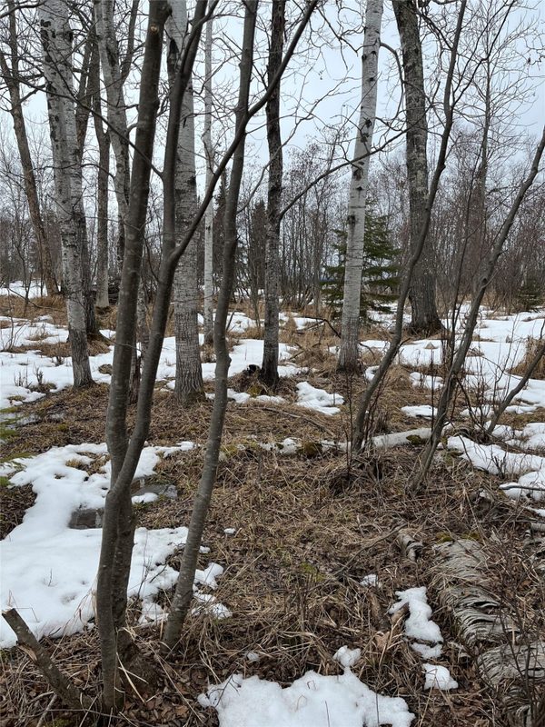 10427 Devries Road, Poplar WI 54864 - Land house for sale - MLS #1599941 - image19