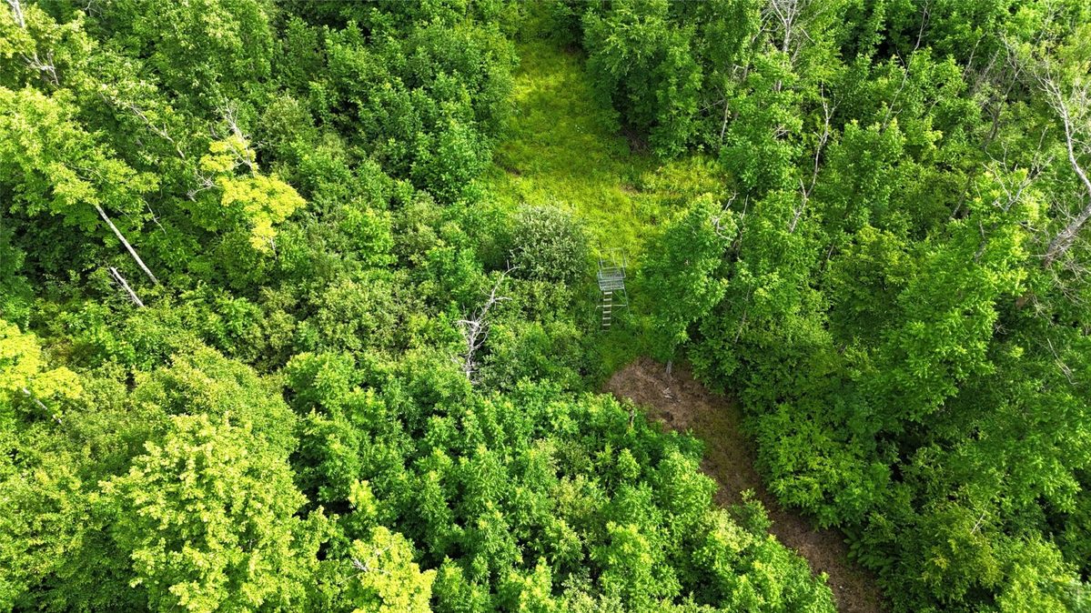 XXX Eckel Lane, Couderay WI 54835 - Land house for sale - MLS #1603143 - image26