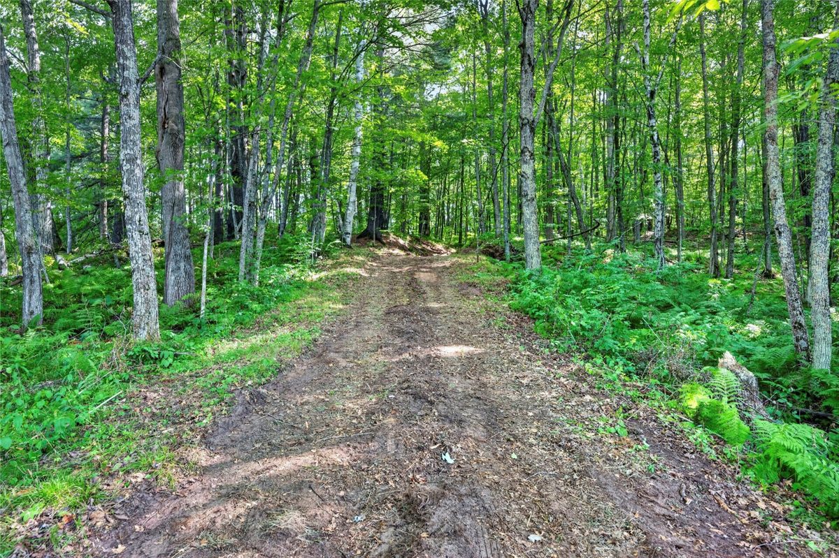 XXX County Hwy B, Shell Lake WI 54871 - Residential house for sale - MLS #1604550 - image15