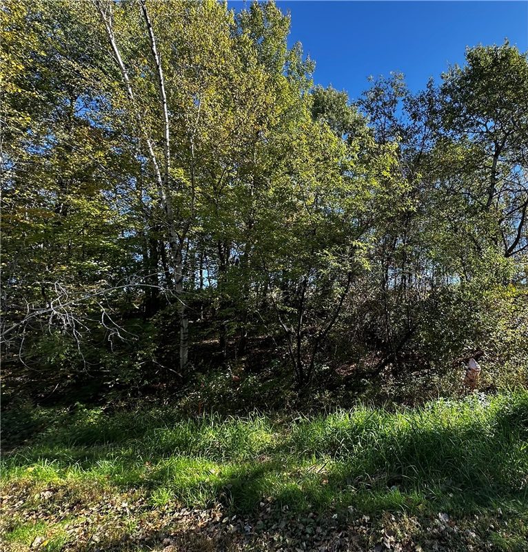 Lot 3 180th Street, Chippewa Falls, WI — photo 23