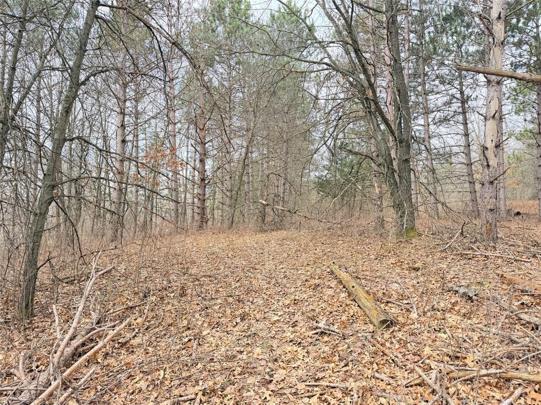 Lot 3 Big Lake Drive, Osceola WI 54020 - Land house for sale - MLS #1599897 - image22