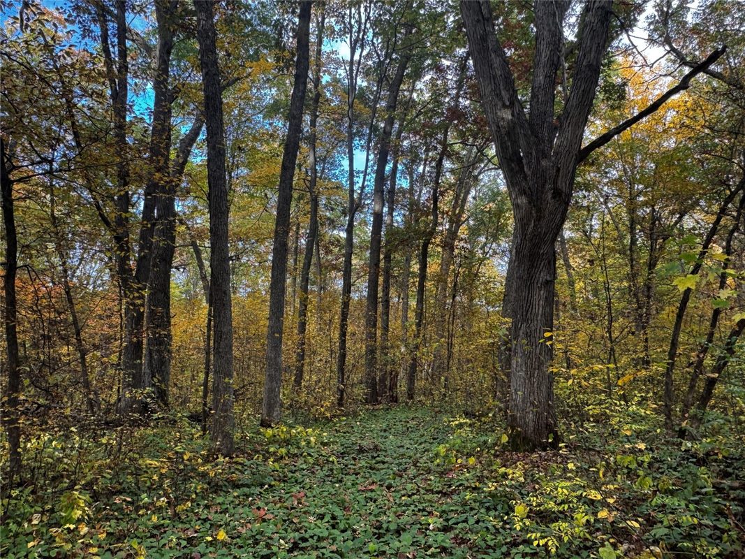 3461 56th Street, Frederic WI 54837 - Land house for sale - MLS #1605729 - image30