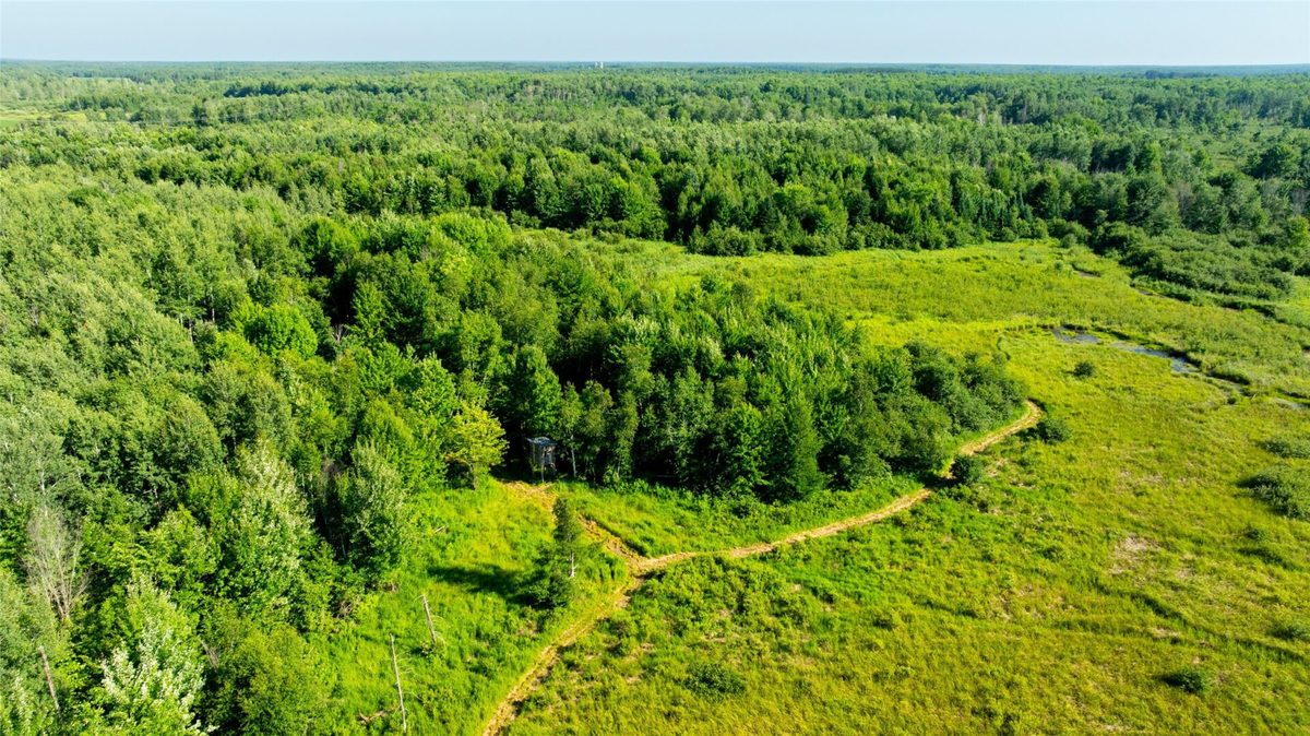 W5343 County Road X, Glen Flora WI 54526 - Land house for sale - MLS #1603306 - image5