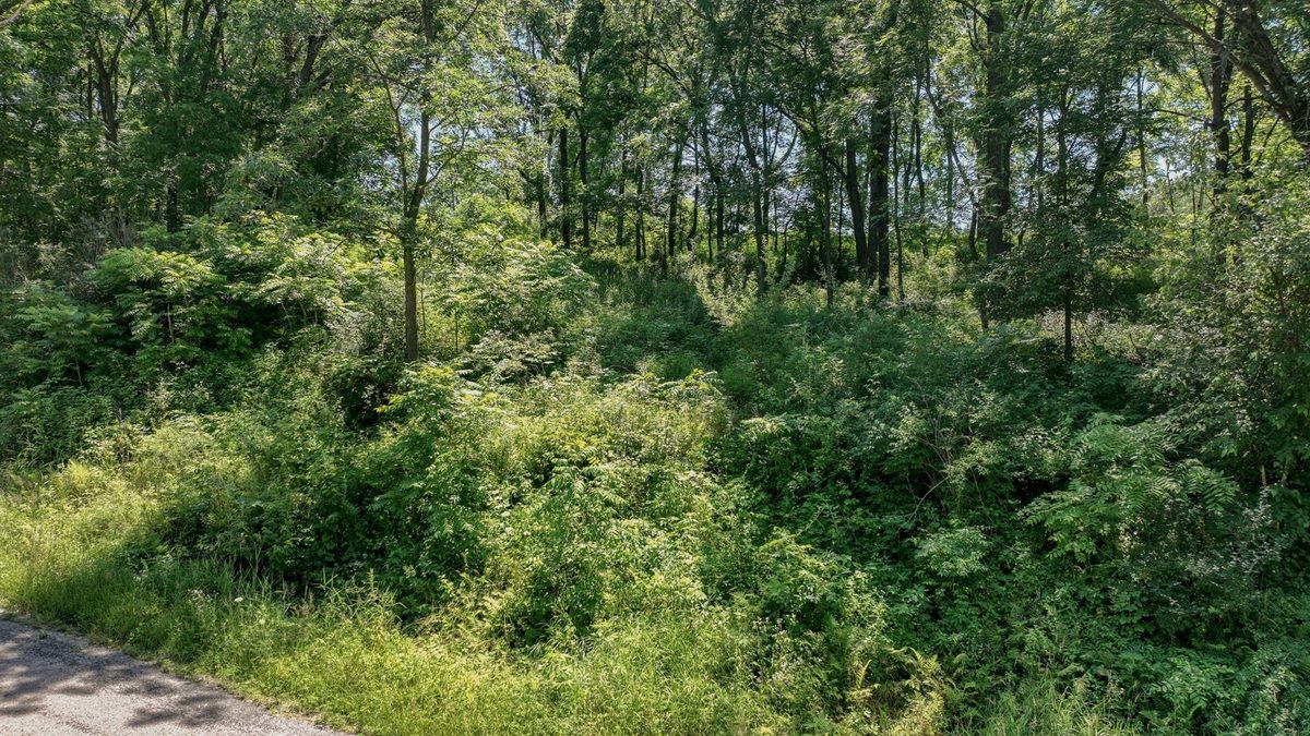 00 Garves Coulee Road, Bangor WI 54614 - Land house for sale - MLS #1603270 - image5
