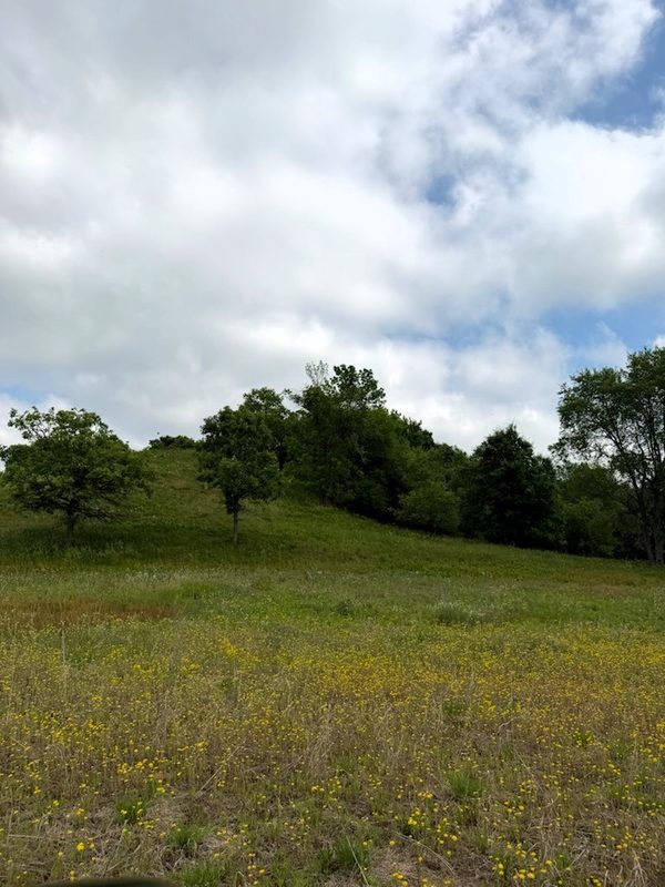 Lot 2 County Road F, Boyceville WI 54725 - Land house for sale - MLS #1601758 - image10