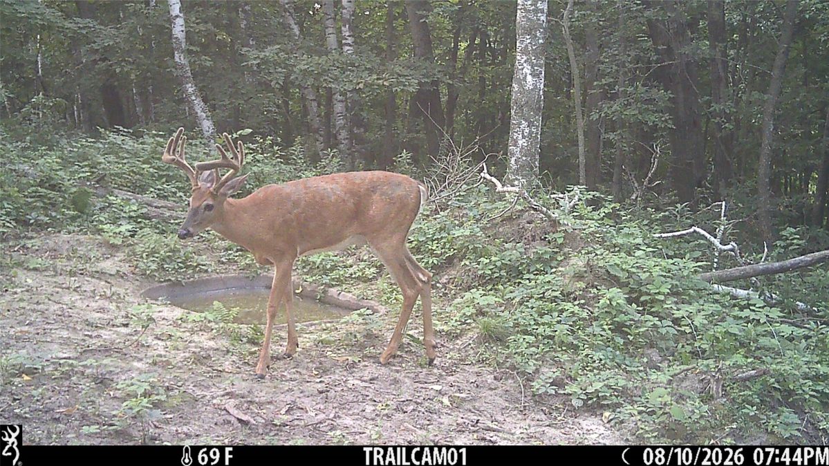 15.01 Acres 160th Avenue, Maiden Rock WI 54750 - Land house for sale - MLS #1604580 - image10