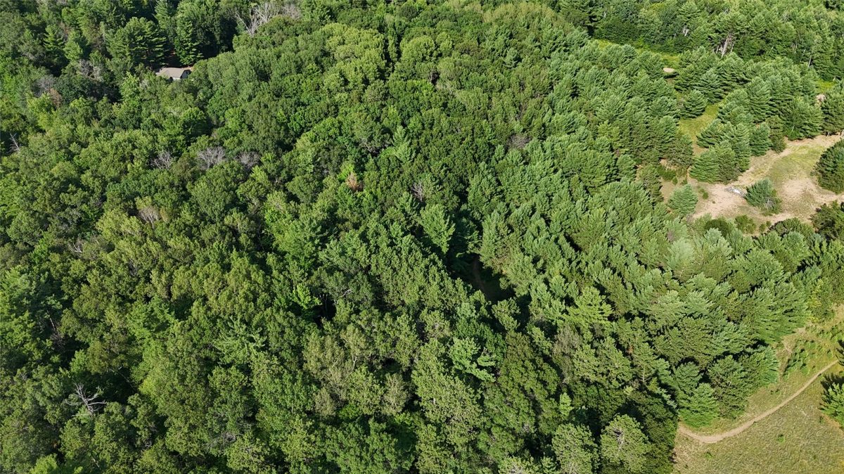 Residential at Lot 2 Fosmo, Webster, WI 54893 — photo 10