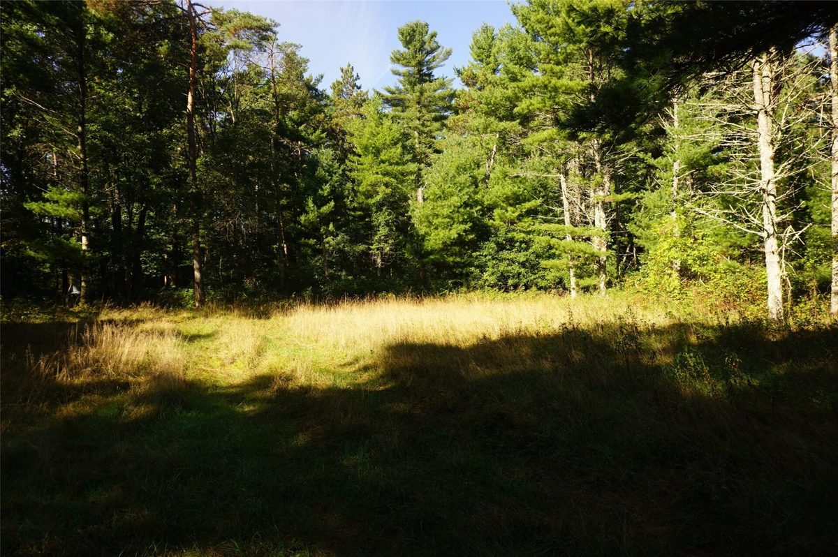N9105 Flood -- Lot 5 Road, Black River Falls WI 54615 - Land house for sale - MLS #1605206 - image2