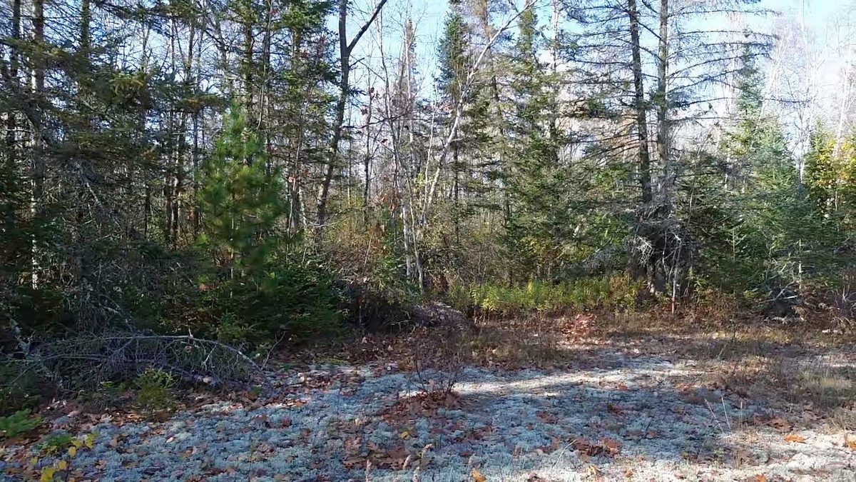 127XX State Highway 70, Couderay WI 54828 - Land house for sale - MLS #1606290 - image18