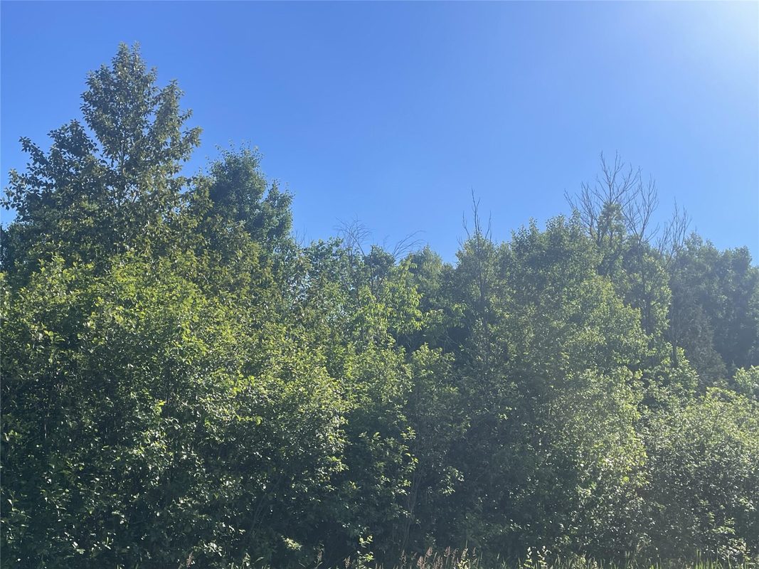 39+/- A on County Highway E, Iron Belt WI 54536 - Land house for sale - MLS #1602959 - image4