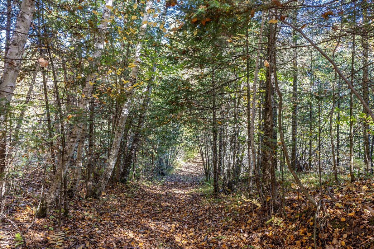 W5957 Happy Acres Road Tony WI 54563 - image39