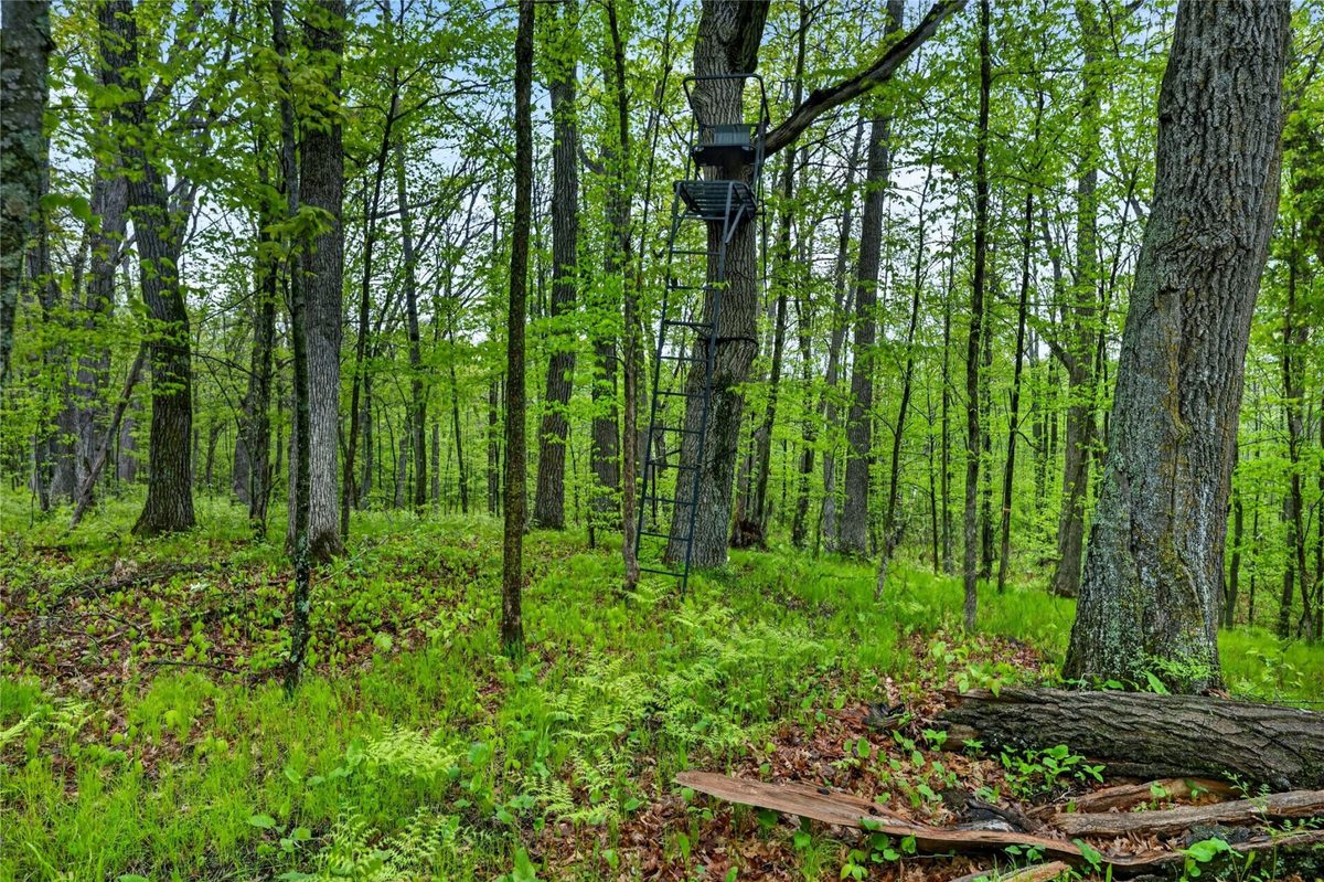 N8771 Fye Road, Trego WI 54888 - Residential house for sale - MLS #1601610 - image27