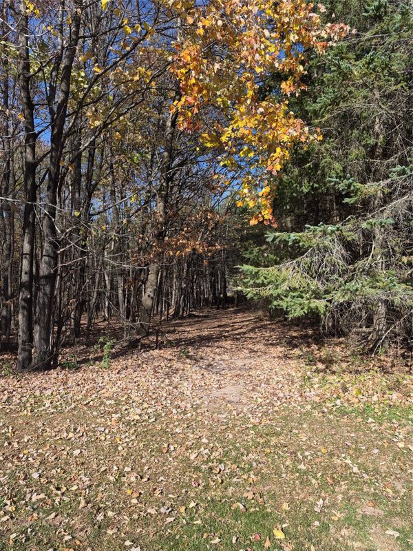 28393 152nd Street, New Auburn WI 54757 - Residential house for sale - MLS #1606144 - image34