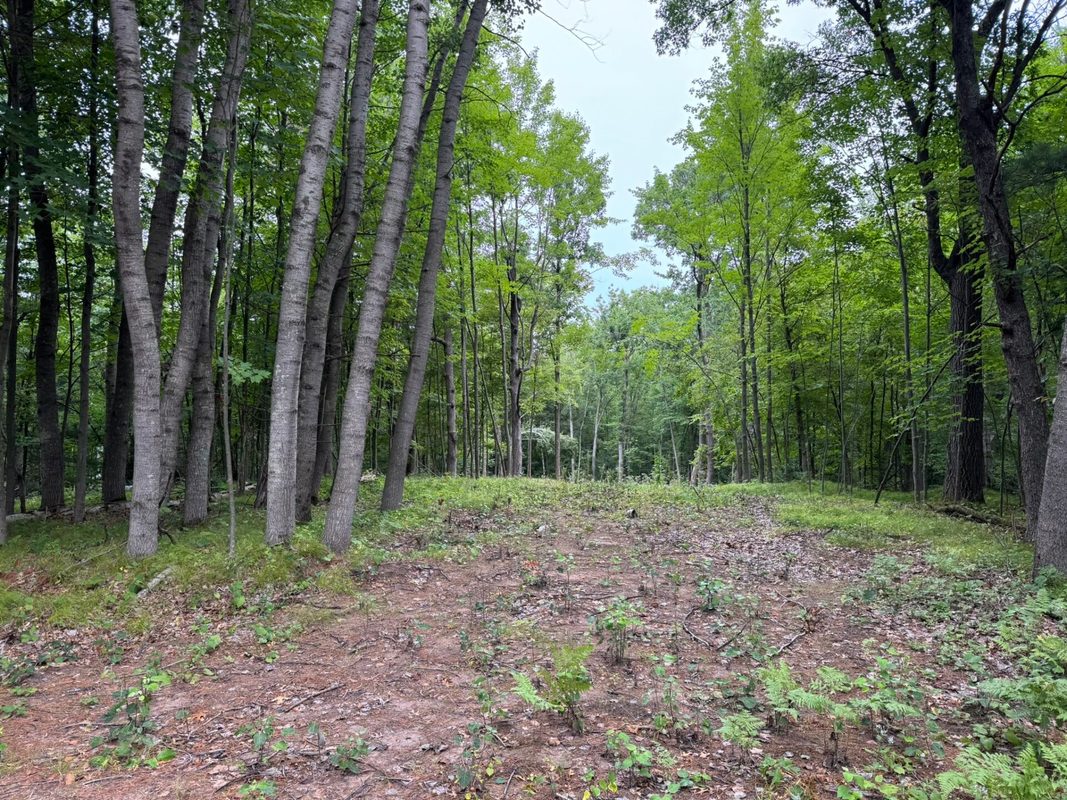 N8004 Cty Rd A, Spooner WI 54801 - Land house for sale - MLS #1604449 - image5
