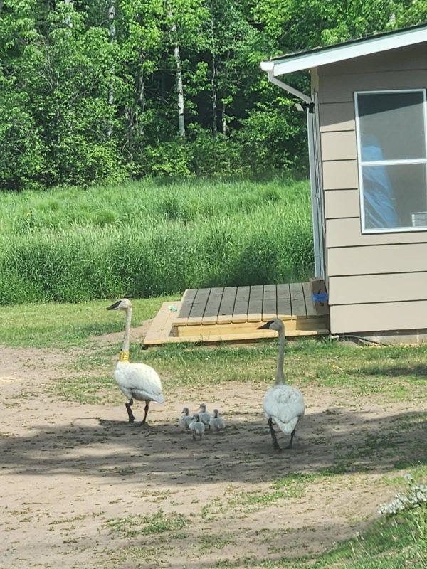 W9170 Highway 70, Spooner WI 54801 - Residential house for sale - MLS #1606152 - image39