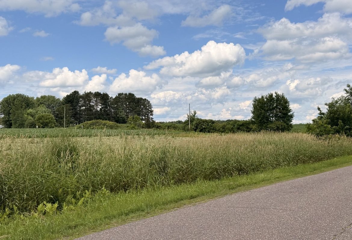 Lot 4 Main Street, Cadott WI 54727 - Land house for sale - MLS #1589807 - image4
