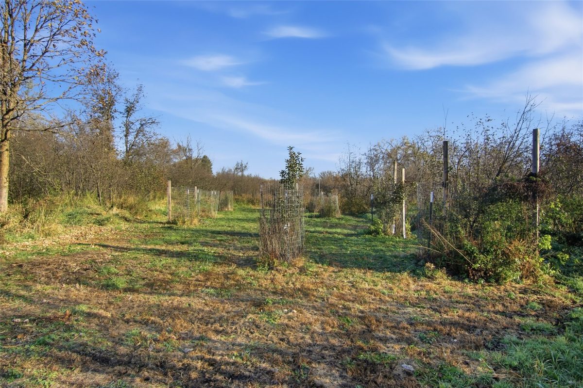 E1995 950th Avenue, Boyceville WI 54725 - Land house for sale - MLS #1606129 - image51
