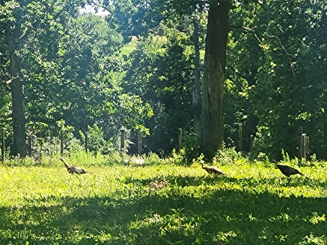 Lot 28 21st Street, Rice Lake WI 54868 - Land house for sale - MLS #1603229 - image3