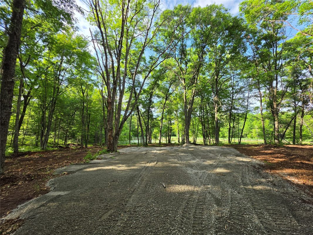 27646 295th (Lot 14) Avenue, Holcombe WI 54745 - Land house for sale - MLS #1602155 - image4
