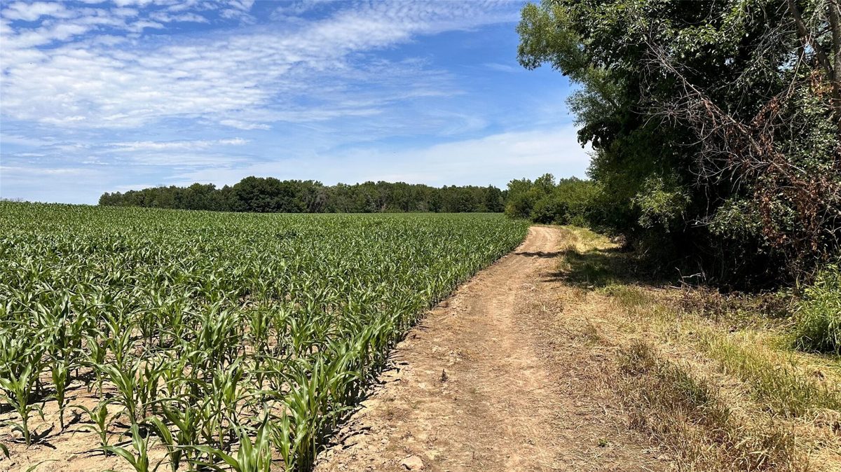 XX County Road BB, Baldwin WI 54002 - Land house for sale - MLS #1602567 - image34