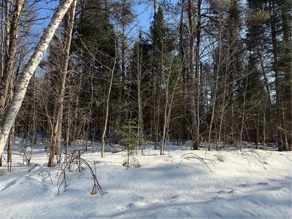 Lot 66 Hickory Court, Cable, WI