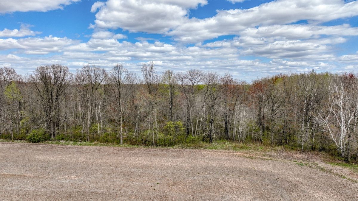 27.6 Acres off Helena Drive, Conrath WI 54731 - Land house for sale - MLS #1605499 - image2