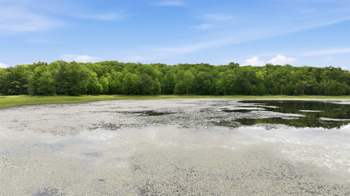 0 Goose Lake, Spooner WI 54801 - Land house for sale - MLS #1603400 - image3