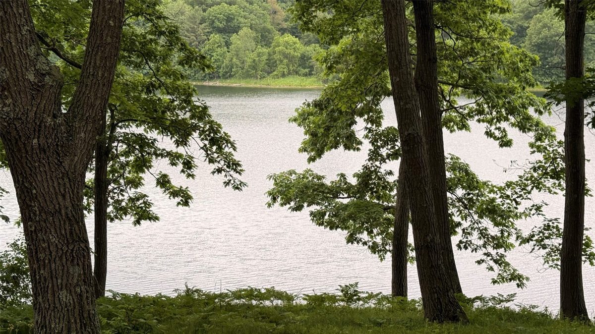 765 270th Ave Cty Rd O, Frederic WI 54837 - Land house for sale - MLS #1602300 - image2