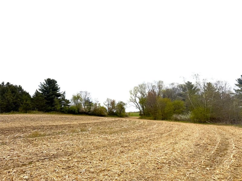 74 acres Sand Prairie Rd. 