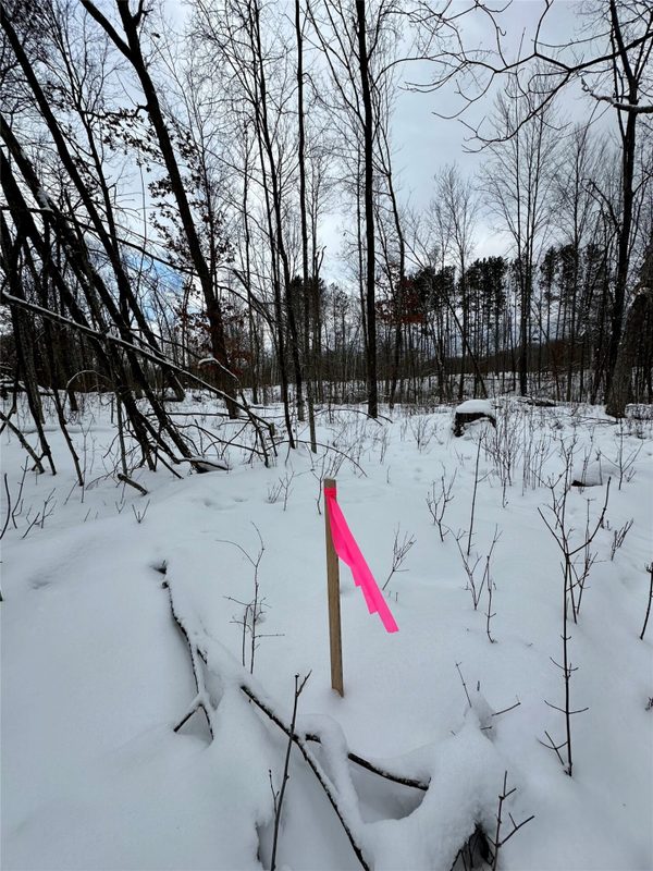 TBD 10 Acres Antler Lake Drive Milltown WI 54858 — photo 11