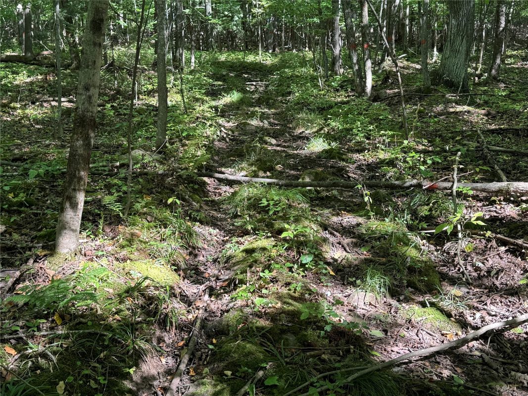 OOO County Road L, Merrill WI 54452 - Land house for sale - MLS #1605059 - image30
