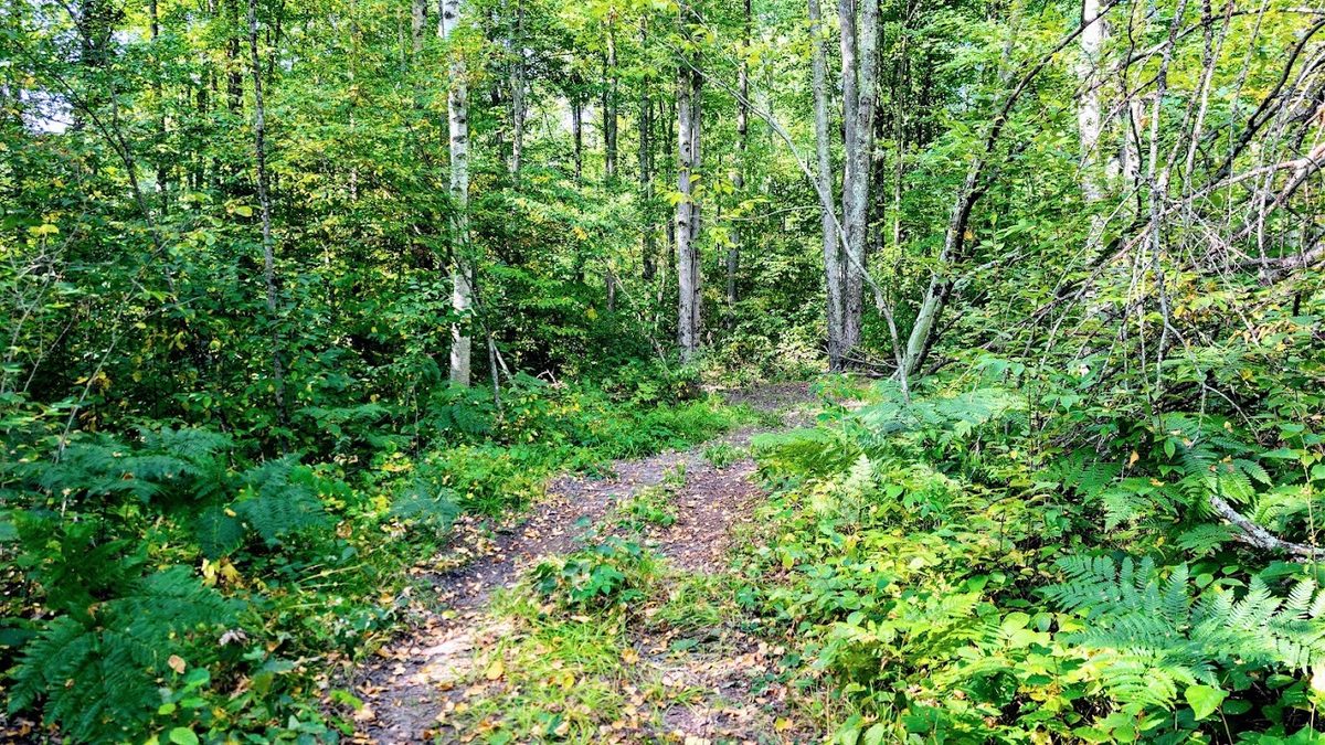 W8185 County Road J, Ladysmith WI 54848 - Land house for sale - MLS #1604406 - image21