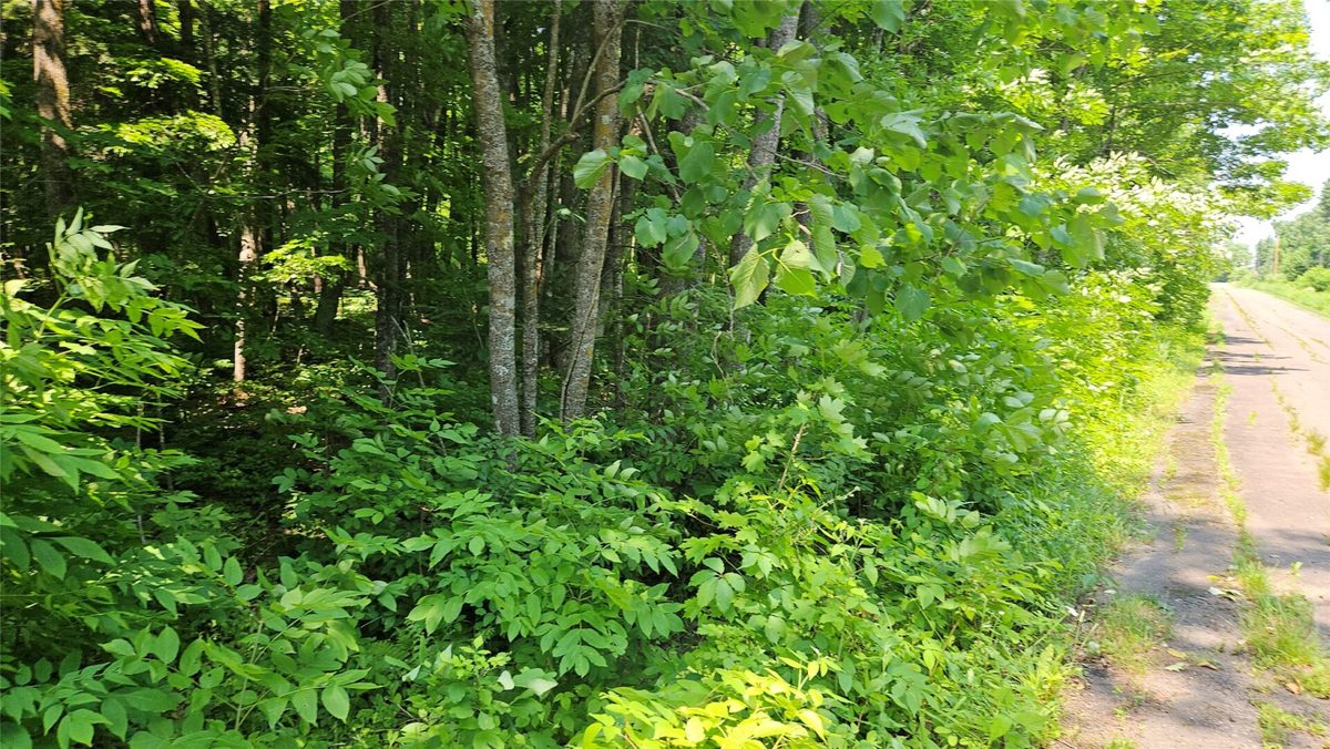 4687 Valesh Road, Couderay WI 54828 - Land house for sale - MLS #1602810 - image3