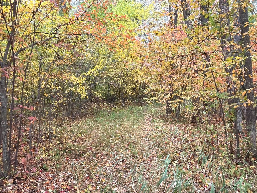 0 Klarquist Road, Webster WI 54840 - Land house for sale - MLS #1605651 - image2