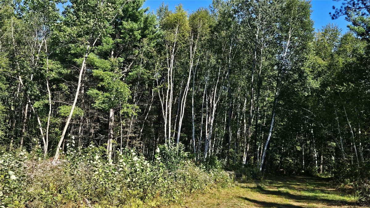 1-7 Larson Road, Hayward WI 54843 - Land house for sale - MLS #1605167 - image17